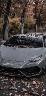 Grey sports car on autumn road with leaves.