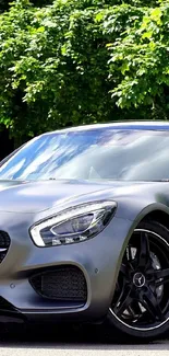 Sleek grey sports car against green trees on a sunny day.