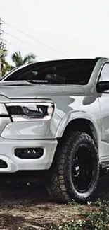 Sleek grey truck parked in an outdoor setting.