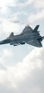 A sleek jet flying through a cloudy sky, showing modern aviation technology.