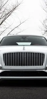 Front view of a sleek, luxurious car on the road in gray tones.