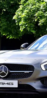 Mercedes AMG in a sleek design under vibrant trees.