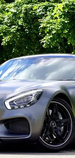 Sleek Mercedes sports car in lush green setting.