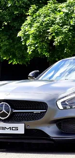 Sleek Mercedes parked in lush green park.