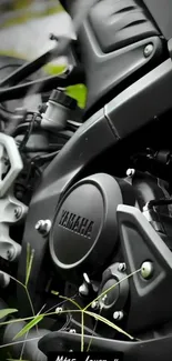 Detailed view of a sleek motorcycle engine bathed in black and lush greenery.