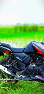 Black motorcycle in green field on a sunny day.