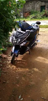 Sleek motorcycle on a rustic path with greenery.