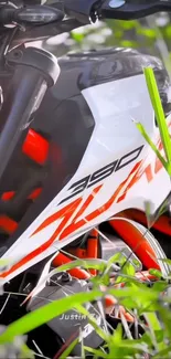 Sleek motorcycle against nature backdrop with vibrant greenery.