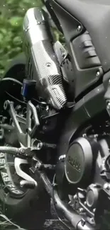 Close-up of a sleek motorcycle engine with green backdrop.