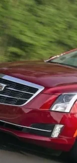Sleek red luxury car in motion on a road.