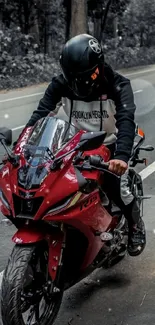 Red motorcycle on an open road with forest backdrop.