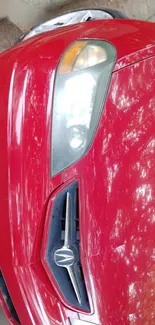 Close-up view of a sleek red sports car, showcasing headlight and glossy paint.