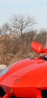 Red sports car with open gullwing doors in a scenic view.