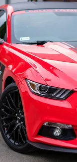 Red sports car with black accents parked outside.