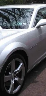 Sleek silver sports car on a road, with modern design details.