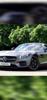 Silver sports car parked outdoors with lush green trees.