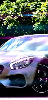 Sleek silver sports car under trees, sunny day.