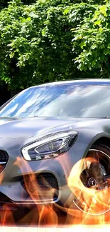 Sleek silver Mercedes sports car under green trees.