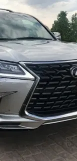 Luxury Lexus SUV with a sleek silver design on a scenic road.