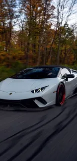 White sports car driving in autumn forest.