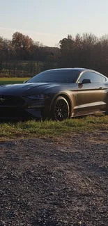 Sleek gray sports car parked in nature with a stunning backdrop.