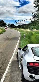 Sleek sports car parked along a winding road with lush greenery and birds soaring overhead.