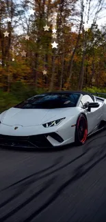 Sleek sports car speeding on an autumn road.