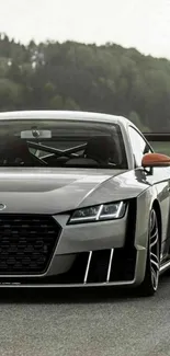 Sleek silver sports car with forest backdrop.