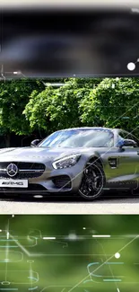 Sleek black Mercedes-Benz sports car with lush green background.