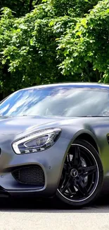 Sleek matte black sports car with lush green background.