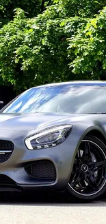 Sleek sports car with greenery background on wallpaper.