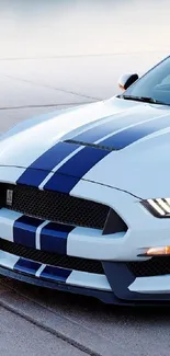 Close-up of a sleek sports car with blue racing stripes.