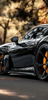 Sleek black sports car set against a scenic background.
