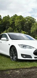 White car parked on green grass with forest background.