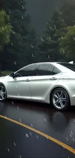 Sleek white car on a rainy, winding forest road.