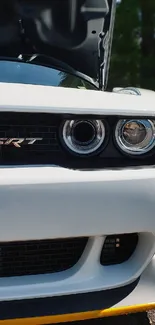 Front view of sleek white muscle car with bold headlights.