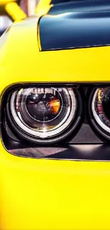 Close-up of a sleek yellow car with a focus on its headlight design.