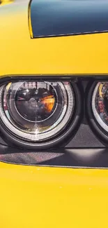 Close-up of a sleek yellow car headlight, perfect for vibrant wallpaper.