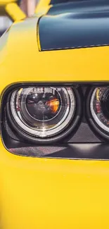Close-up of sleek yellow car headlights in bright sunlight.