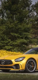 Yellow luxury sports car in nature setting.