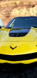 Yellow sports car close-up with sleek design background.