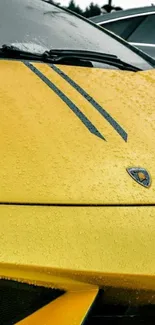 Yellow sports car hood with raindrops closeup.