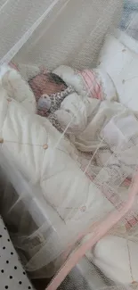 Baby peacefully sleeping in crib with pink net.