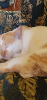 Sleeping orange and white cat on a patterned cushion.