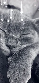 A sleeping cat with twinkling stars on a gray background.