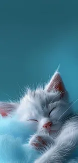Cute white kitten sleeping on a soft blue blanket.