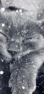 A sleepy kitten surrounded by snowflakes on a gray mobile wallpaper.