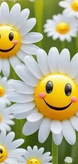 Smiley face daisies on vibrant wallpaper
