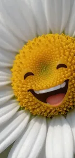 Smiling daisy flower with a happy face and white petals.
