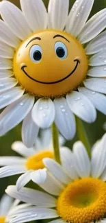 A daisy with a smiling face on a green background.